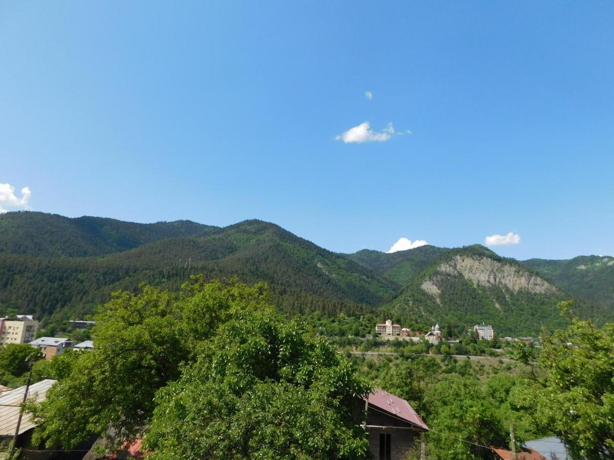 Akaki'S Guesthouse Bordzjomi Buitenkant foto