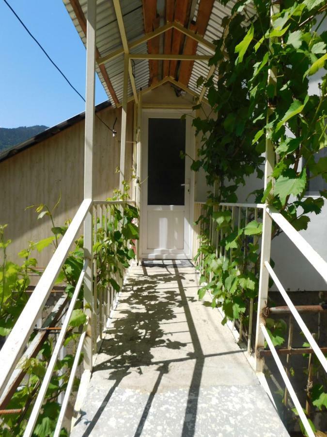 Akaki'S Guesthouse Bordzjomi Buitenkant foto